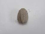 Blastoid