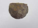 Brachiopod